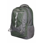 Aqsa ALB54 Stylish Laptop Bag (Mehndi and Grey)